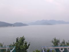 -望湖烤鱼