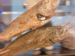 烤小黄鱼-九府羊·鲜羊火锅·烤串(新华路店)