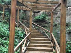 -大岭沟猕猴桃谷风景区