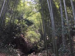-莫干山风景区