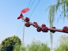 -江南大学(蠡湖校区)