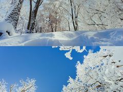 -长白山万达国际度假区