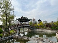 -迎泽公园