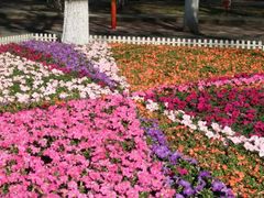 -哈尔滨文化公园