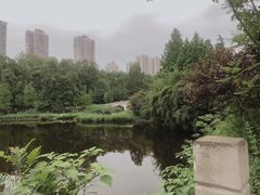 -重庆彩云湖湿地公园