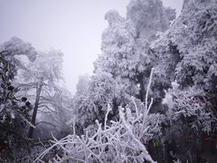 -南岳衡山风景名胜区