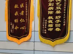 -中农国际动物医院24小时·猫科·骨科·急重症中心