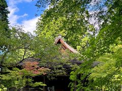-三千院