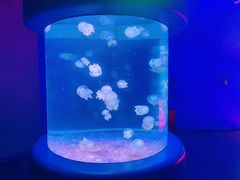 -欢乐海岸海洋奇梦馆