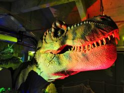 -恐龙探索乐园(磁器口店)