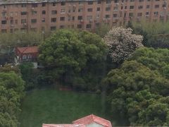 希尔顿酒店-上海静安昆仑大酒店
