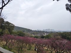 -无锡梅园公园