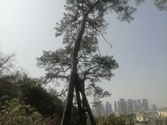 -乌山风景区