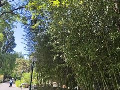 -皇家御河游(紫御湾码头)