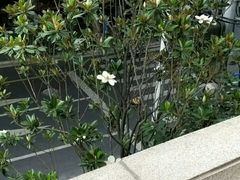 -巫山烤全鱼(富康京科苑路店)