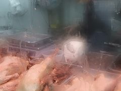 -杨震卤菜旗舰店