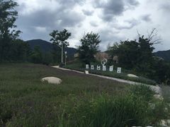-紫云台香草园