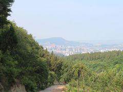 -原山国家森林公园