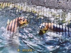 -太原动物园