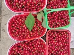 -樱桃山旅游景区