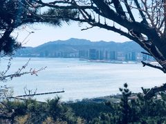 -刘公岛风景名胜区索道站-售票处