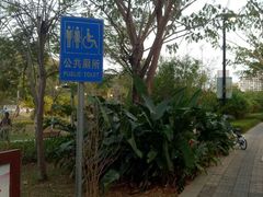 -金鸡岭桥头公园
