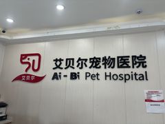 -艾贝尔宠物医院 ·中兽医·宠保定点(北门桥店)