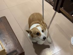 -茶米人台湾料理·精致快简餐
