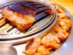 -金顺韩式烤肉·网红烤肉店(广利路店)