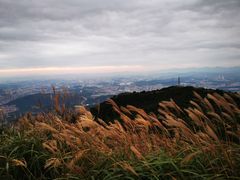 -梧桐山风景名胜区