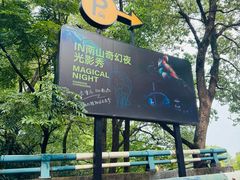 -南山植物园