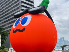 -星光大道