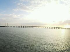 -宝安西湾红树林湿地公园