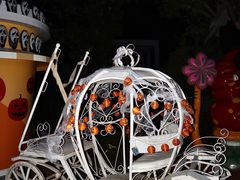 -巨鹏飞梦幻海岸