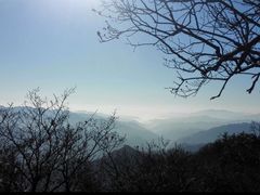 -牛背梁国家森林公园