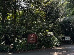 -新加坡植物园