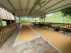 -盛龙生态风情园