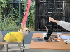 -ROCHO(仁恒江湾城店)