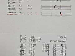 -利又安动物医院··老年病·猫科犬科·中兽医