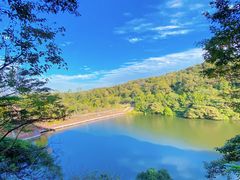 -黄埔油麻山森林公园