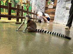 -Zoolung Zoolung动物主题公园(海信广场店)