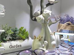 -三叶眼镜城·好视力眼镜店