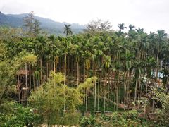 -七仙岭温泉国家森林公园