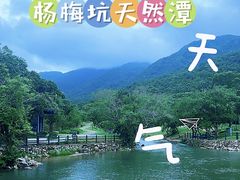 -杨梅坑