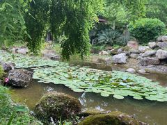 -中铁花水湾四季温泉谷