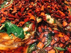 杨记招牌鱼-杨记隆府(时代天街店)