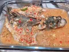 -佬肥猫(国华广场店)