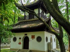 -汇龙潭