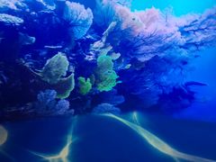 -朝阳公园游乐园