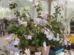 -花·fleur古董西餐厅(西城夜未央店)